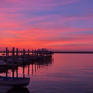 Meet your Posher, Ella